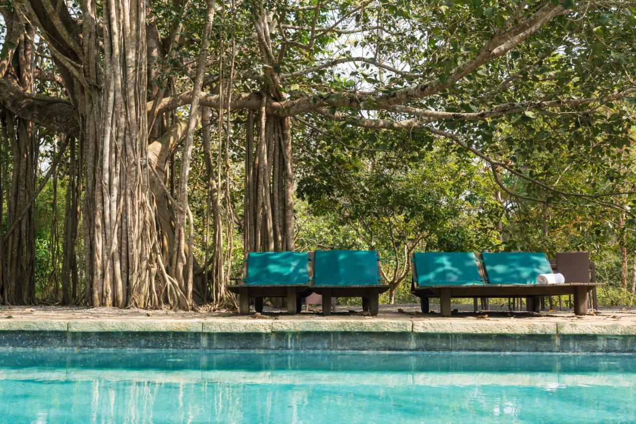 Kaav Safari Lodge, Kabini Begūr Exterior foto